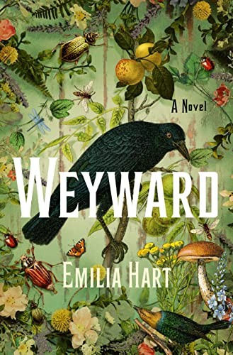Weyward book cover by Emilia Hart